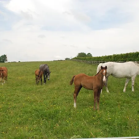 Holiday home Haras Du Gazon *